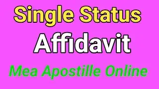 Affidavit Apostille for Japan | Unmarried Certificate India