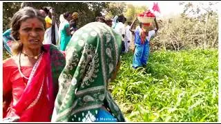ADIVASI KOLAMI 14.2.2022 //Bhimsen Dev  KAYKRAM  video // Full short video // 🙏🥰 AJAY MESHRAM 🥰🥰