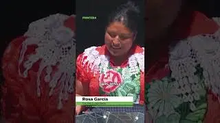 Cocineras Solares de Oaxaca: el poder del sol que alimenta y transforma comunidades ☀️🍽️