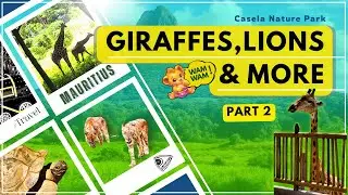 Mauritius Casela Nature Park Part 2 | Giraffe Feeding, Predator Kingdom, Tortoises & Family fun 🦒🦁🐢