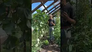 Speed plant growth