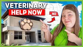 Free & Low Cost Veterinary Care for Pets in Nebraska
