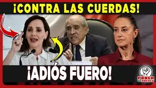 LILLY T&Eacute;LLEZ SE AFERRA AL PODER Y SE LANZA CONTRA PABLO GOMEZ, CLAUDIA MADRUGA A LOS PLURIS