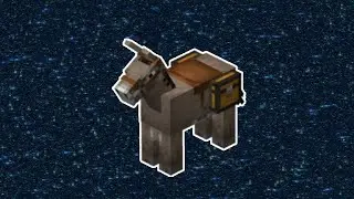 2b2t.org Donkey Dupe Visual Glitch (2019)