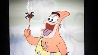 Spongegar, Patar, and Squog knows how to cook then having a feast with a campfire