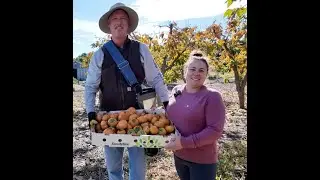December 2025 Farmer of the Month: Aliso Canyon Ranch