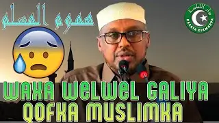 QOFKA MUSLIMKA WAXA WELWEL GELIYA | SHEEKH MUSTAFE
