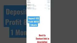 🌹Forex Trading Best Auto Ea, robot bot, with high accuracy with low drawdown 🚫 telegram@Honestfx77