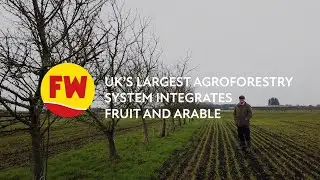 UK's largest agroforestry system integrates fruit and arable