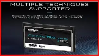 SP 256GB CFast2 0 CinemaPro CFX310 Memory Card, 3500X and up to 530MBs Read, MLC