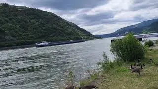 Schöner Sound, Binnenschiff, Bacharach, Rhein