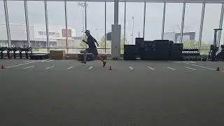 Short Shuttle Run