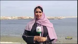 مباشر/ صباح_السعودية/ قرار سمو سيدي ولي العهد بإنشاء مؤسسة لتطوير جزيرة دارين وتاروت