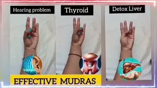 Amazing Hand #Exercises to Support Heart and Brain Sarv Samridhi #Yoga  _hearthealth  _HeartHealing 