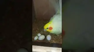 agvv xkbcfnnj vfhfrjx xrjvejv ctjcglufj. grjduh v4jftm 7