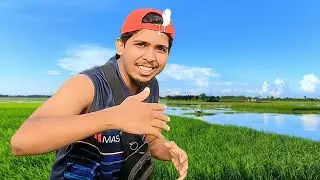 ඇලේ මාළුන්ට පාන් කවන්න ගියා මචං | Went to feed the fish bread