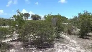Providenciales, Turks & Caicos - Cheshire Hall Plantation HD (2013)