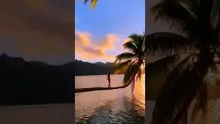 Sunset Lovers.😍😍