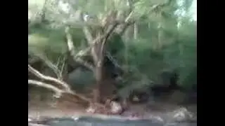 Bou Sra Waterfall