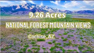 9.26 Acres Adjacent to the National Forest with Mountain Views near Cochise, AZ