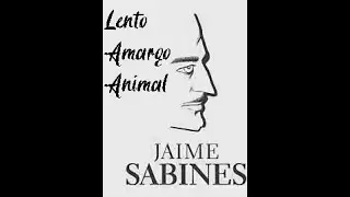 Lento, amargo animal... (Jaime Sabines)