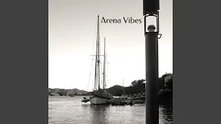Arena Vibes
