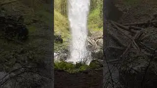 North Fall Full 360 view #silverfalls #naturephotography #oregon #portland