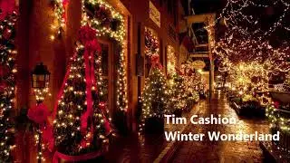 Tim Cashion - Winter Wonderland