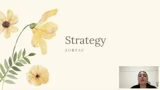Bunches - 12 Month Digital Marketing Plan