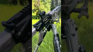 Alexander arms 50 beowulf with 200 grain extreme penetrators. Gun pxrn