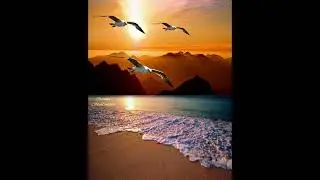 Tema de un Lugar de Verano ~ Percy Faith