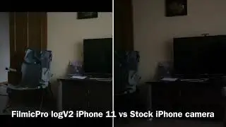 Filmic Pro logV2 iPhone 11 4K vs stock camera test