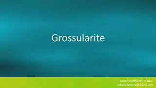 Pronunciation of the word(s) 