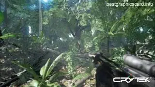 Crysis Dx9 vs Dx10 720p