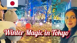The Most Magical Winter Illumination in Tokyo