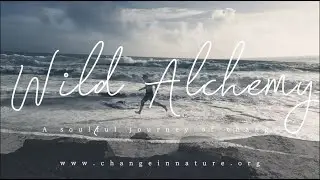 Wild Alchemy Journey 2024