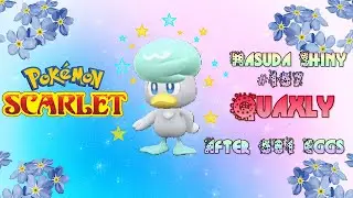 Shiny Quaxly / Kwaks via Masuda Method after 581 Eggs ( Scarlet )