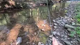 Fly Fishing Small Stream Wild Trout