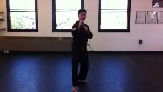 World Tang Soo Do form #3