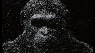 APA Rearmed Montage