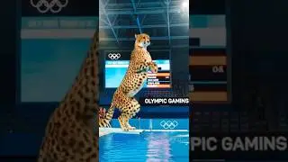 Safari Animal Sounds Song | Olympic Animal Diving | Giggles and Toons