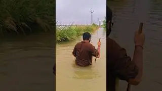 #floods #up #ballia #india #ganga #river #flood