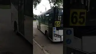SAZ LE60 в Костроме