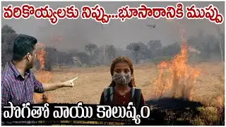 air pollution due to paddy stubble burning