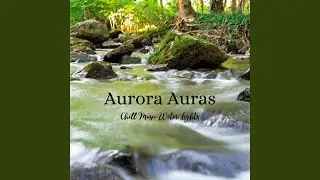 Reflective Waters in Light's Embrace