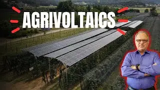 Brite Solar | Agri-Voltaics & Solar Glass Innovation | Official Company Presentation