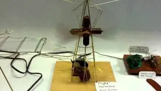 Bird flight