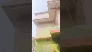 2D home designer plaster work ✅#construction #wall #plasterdesign #youtubeshorts #viralvideo 2026 🏡