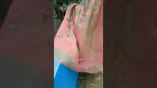 তোমার পিনদনের ওই শাড়ীতে #viralvideo #vedi2025#duet