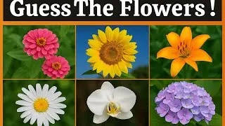 Guess The Flower Quiz | Flowers General knowledge | Fun Learn#quiz #education @kiddosknowledgeworld